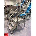 30" x 30" S/S Framed Platform with Stairs and Handrail (Subject to Bulk Bidding)