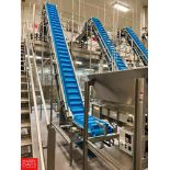 PSG S/S Framed Elevator Conveyor with Drive (Subject to Bulk Bidding)