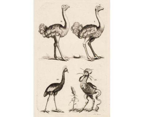 * Natural History. A mixed collection of approximately 100 prints and engravings, 18th &amp; 19th-century, engravings, etchin