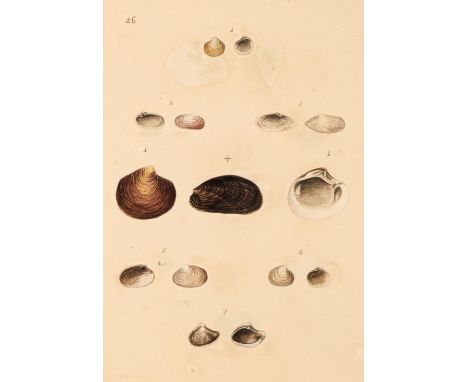 Montagu (George). Testacea Britannica or Natural History of British Shells, Marine, Land, and Fresh-Water, Part 1 (of 2) and 