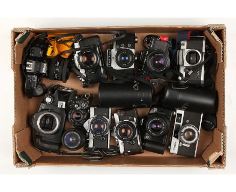 A Selection of Various SLR Cameras, including Olympus OM-1 MD (2), Fujica AZ-1, Nikon F-401s and more (a lot)