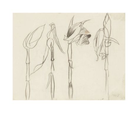  GRAHAM  SUTHERLAND  O.M. (BRITISH 1903-1980) PALMS (DOUBLE-SIDED DRAWING), 1948 initialled and dated (lower right), pencil o