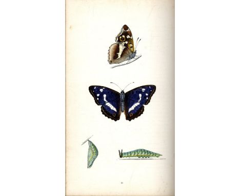With Attractive Hand-Coloured Plates

Morris (Rev. F.O.) A History of British Butterflies, roy 8vo L. 1865. First Edn., 71 ha