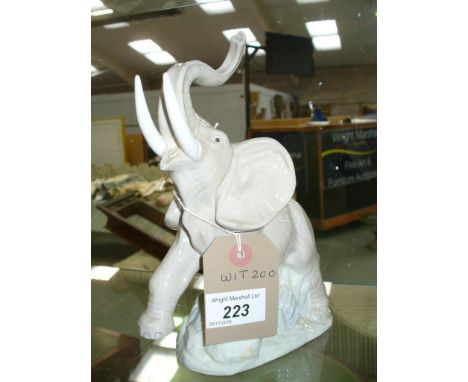 A Nao model of an elephant trunk raised