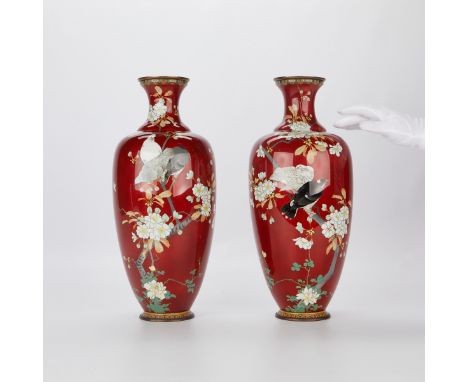 Pair of Japanese Meiji enamel cloisonne vases, similar in style to works by Hayashi Kodenji. Decorated throughout with doves,