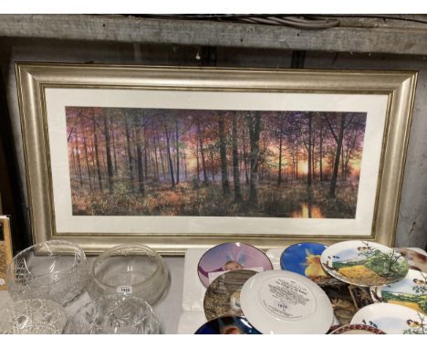 A DORMA GOLDEN COPPICE DAWN FRAMED PRINT 