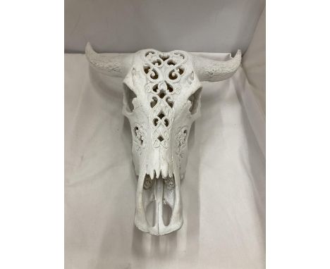 A MODEL OF A WHITE COW SKULL WITH HORNS 