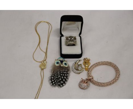 A QUANTITY OF OWL RELATED COSTUME JEWELLERY TO INCLUDE A BOXED RING, BROOCH, NECKLACE, PENDANT, ETC 