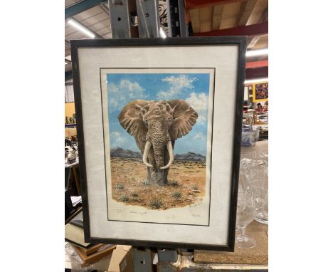 A LIMITED EDITION 48/250 FRAMED PRINT "SOLO" BY ALLAN WYATT 