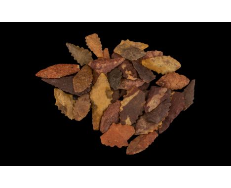 Natural History Interest. Neolithic Period Collection of Leaf Shaped or Foliate Point Stone Arrow Heads ( Over 20  ) Used Wit