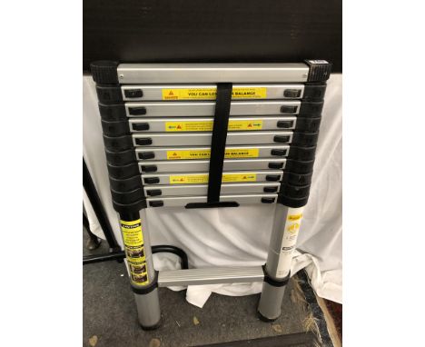 TELESCOPIC LADDER 