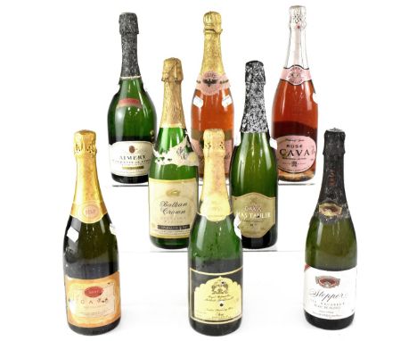 Eight bottles of sparkling wine to include Omar Khayyám Brut, Royal Maharashta Traditional Method, Stepper Blanc de Blancs, b