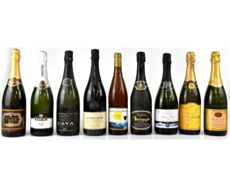 Nine bottles of sparkling wine to include Barramundi Australian Sparkling wine, Martini Asti, Cava, etc (9).