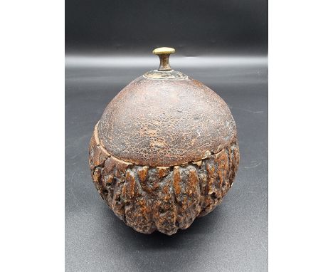 An unusual antique novelty nut tea caddy, 12cm high. 