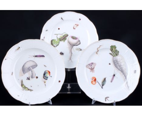 Meissen 18. Jahrhundert Alt Osier Pilz Rüben &amp; Insekten 3 Teller, mushroom beets &amp; insects plates 18th century,Porzel