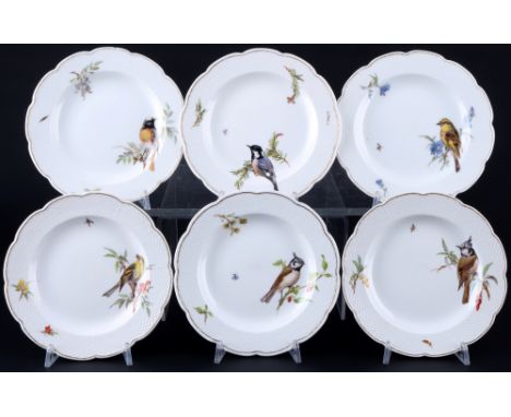 Meissen Vogelmalerei 6 Kuchenteller 1.Wahl, dessert plates 1st choice,Porzellan, blaue Schwertermarke 1. Wahl, Dekor Vogelmal