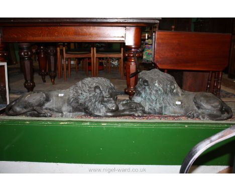 A pair of large bronze Lions lying down, 43" long, 11" tall