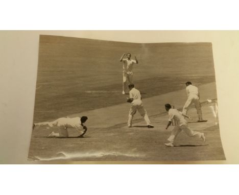 CRICKET, original press photo, 1962 New South Wales v West Indies, showing Thomas catching at leg slip off Nurse, Daily Sun s