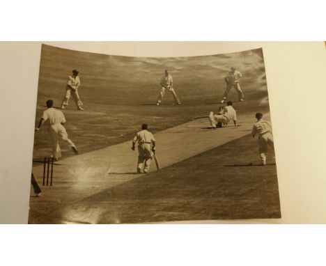 CRICKET, original press photo, 1954 Australia, showing Hallow hit by Muller, Sydney Morning Herald stamp &amp; ink annotation