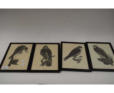 FOUR FRAMED BLACK AND WHITE PRINTS - BIRDS OF PREY