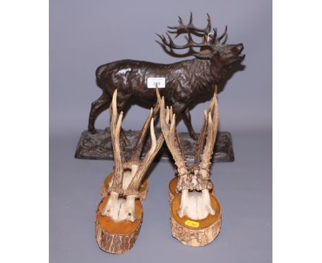 A 19th century bronzed metal statue of a rutting stag, 8" high (damages), and four pairs of deer antlers with skull plates, o