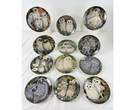 A set of 12 boxed Wedgwood ceramic collectors plates from 'The Baby Owls' series by Dick Twinney. 6.75" diameter plates, each