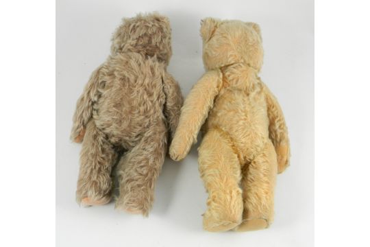 1950's steiff teddy bear