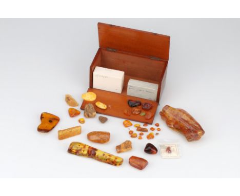 Collection of Amber Specimens, including 2 large specimens both containing a number of small insects, the largest 13cm long, 