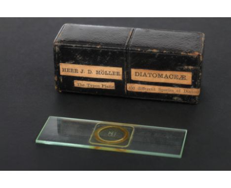 A Very Fine 400 Diatom Microscope Slide, Moller, German, dated 1870, slide engraved ‘Diatomaceen = Typen-Platte Deckglasdicke