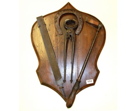 A collection of farriers tools mounted on an oak shield, H. 60cm.