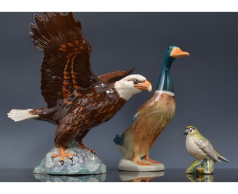 Beswick model, Bald Eagle, no. 1018, width 33cm, Beswick model of Thrush, no. 2308, a Mallard Duck, no. 756 and three other b