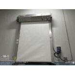 Roll Seal roll up door