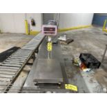 NSF SW-150-KL washdown scale