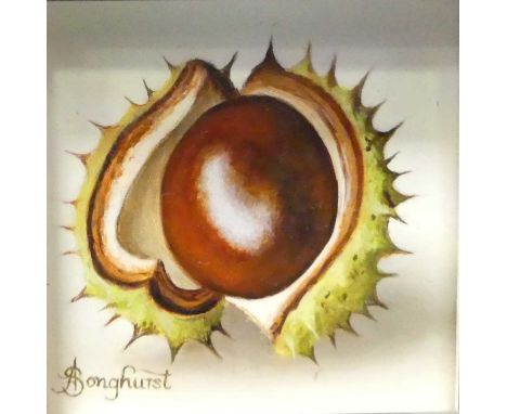 *Anne Songhurst (b.1946) - Horse chestnut, oil on panel, signed lower left, 7.5 x 7.5cm