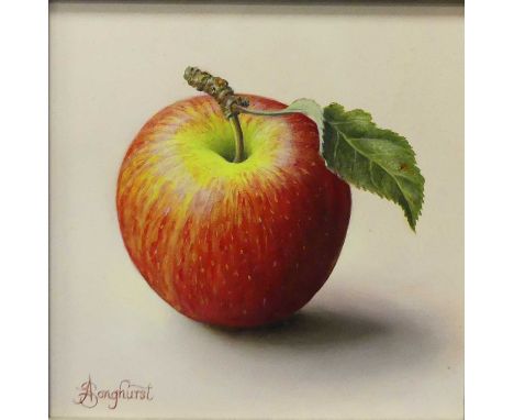 *Anne Songhurst (b.1946) - Jonagold apple, oil on panel, signed lower left, 15.5 x 15.5cm