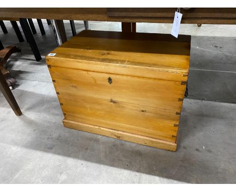 A Victorian style pine trunk with hinged top, width 61cm, depth 37cm, height 44cm
