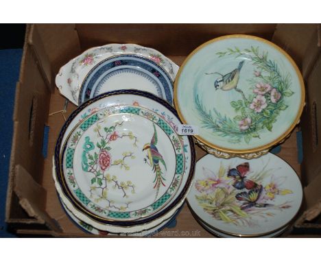 A quantity of display plates including; New Chelsea, Noritake, Royal Worcester bird plate signed M. Hodgetts, etc.