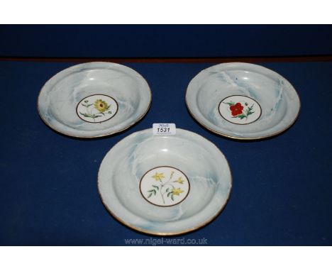 Three Chamberlains Worcester soup Bowls decorated with hand painted botanical panels within a grey marbled border and gilt ri