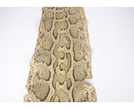 A vintage python snakeskin, length approximately 600 cm