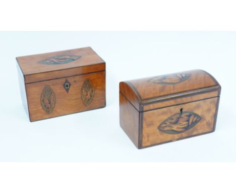 A GEORGE III RECTANGULAR MARQUETRY INLAID SATINWOOD TWIN DIVISION TEA CADDY (2)19cm wide; 11cm deep; 12mc high, together with