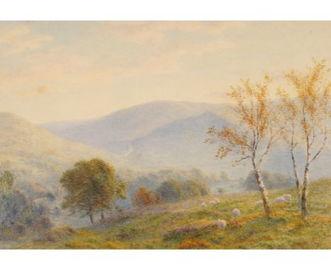 ROBERTO ANGELO KITTERMASTER MARSHALL (BRITISH, 1849-1926)Sheep in a hilly landscape
signed 'R A K Marshall NBA' (lower right)