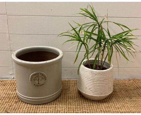 A Juvenile spineless yucca potted and a Heritage garden planter 