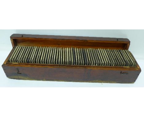 Sixty glass lantern slides, depicting animals, people, buildings, etc., with box
