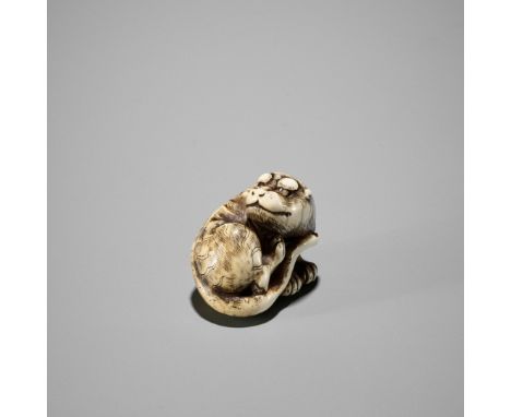 A GOOD KYOTO SCHOOL IVORY NETSUKE OF A TIGERUnsignedJapan, Kyoto, early 19th century, Edo period (1615-1868)A compact ivory n