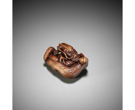 A SUPERB WOOD NETSUKE OF A COILED DRAGONUnsignedJapan, probably Nagoya school, 18th century, Edo period (1615-1868)Boldly car