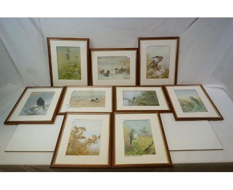 Set of nine framed and glazed Archibald Thorburn bird prints. 