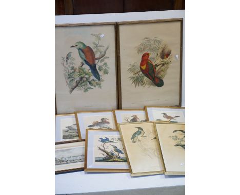 After George Edwards, Set of Five Ornithological / Bird Coloured Engravings published by J Wilkes, each image 19cms x 24cms t