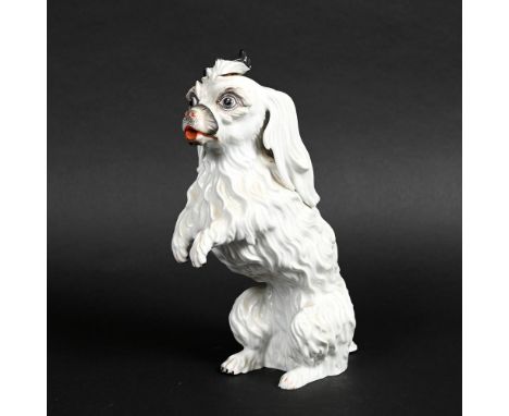 CARL THIEME (POTSCHAPPEL) - PORCELAIN DOG DECANTER, MALTESE TERRIER. An unusual porcelain decanter in the form of a Maltese T