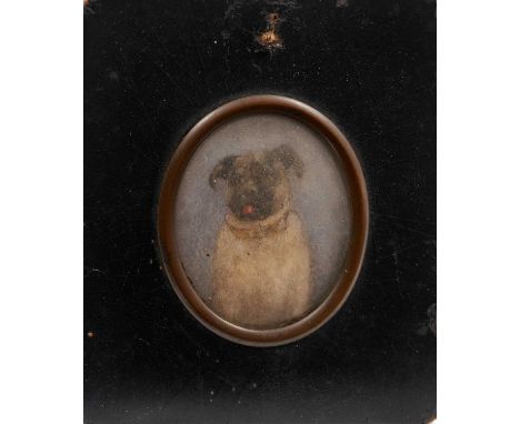 19th century portrait miniature of a pet pug, in papier mâché frame, titled verso 'The Faithful Punch 1890', total size 11 x 