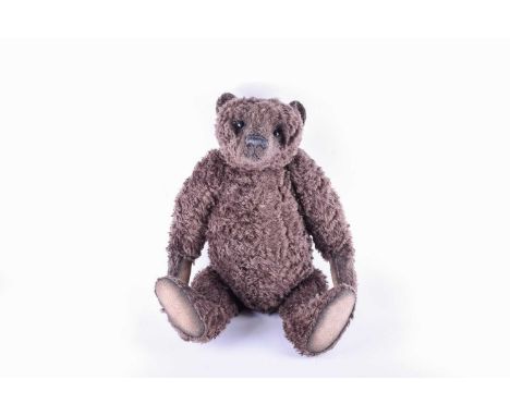 A large Bisson Bear named 'Cooper', number 1 of 1, exclusive one of a kind design 2019, by Gail Thornton, with chocolate brow